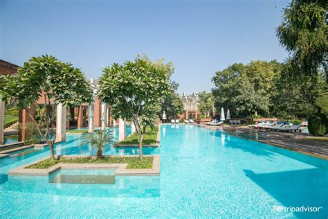 Avis Et Photos De La Piscine De Litc Mughal A Luxury Collection Resort And Spa Agra Tripadvisor
