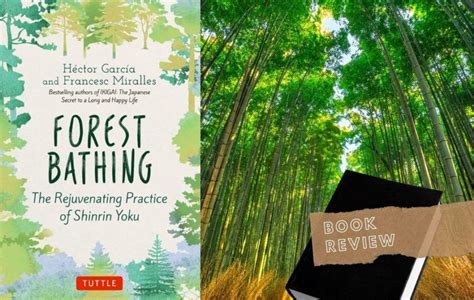 Advantages Of Japanese Shinrin Yoku Forest Bathing Book Review My