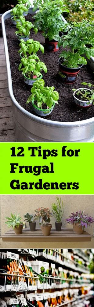 12 Tips For Frugal Gardeners Bless My Weeds