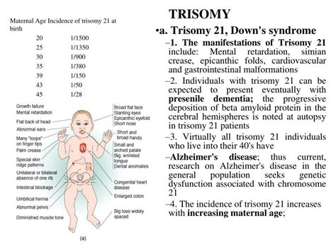Ppt Congenital Malformations And Teratology Powerpoint Presentation Free Download Id6099661