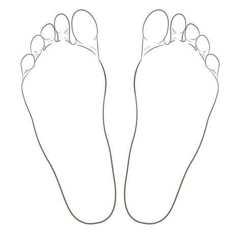 Left And Right Foot Soles Contour Illustration For Biomechanics