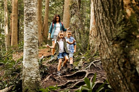 7 Outdoor Activities And Adventures For Kids Right In Your Own Backyard