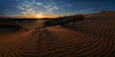 Sandy Desert Landscape At The Sunset Stock Photo Image Of Scenic