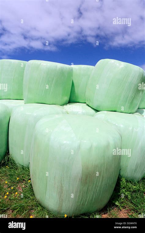 Wrapped Bale Hi Res Stock Photography And Images Alamy
