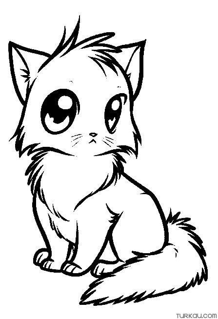 Cat Anime Coloring Pages