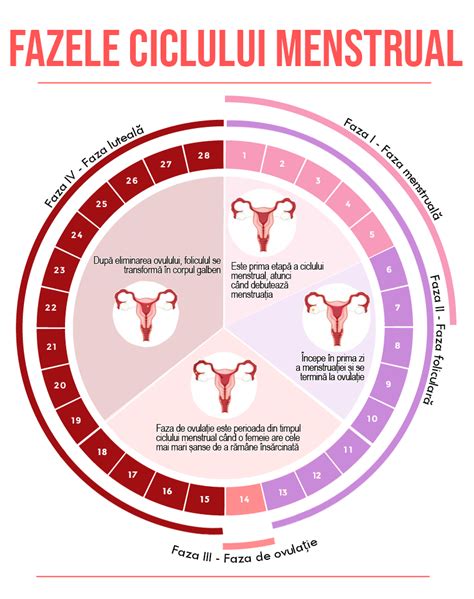 Ciclul menstrual și sănătatea feminină Medic Chat
