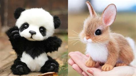Extremely Cute Animal Compilation 1 Youtube Photos