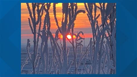 The Difference Between Hoar Frost And Rime Ice