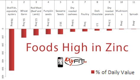 Foods High In Zinc Myfitca