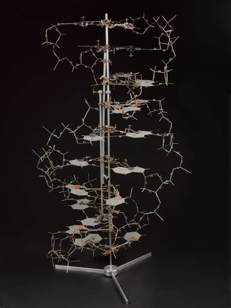 Why The Double Helix Is Still Relevant Science Museum Blog