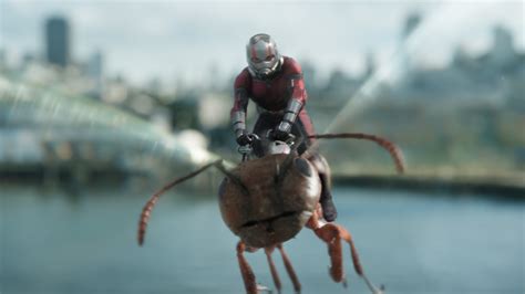 2560x1440 Ant Man Riding Ant In Ant Man And The Wasp 1440p Resolution