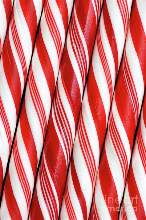 Candy Canes Photograph By Vivian Krug Cotton Fine Art America