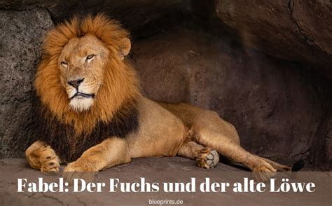 Der alte Löwe und der Fuchs – eine Fabel von Aesop