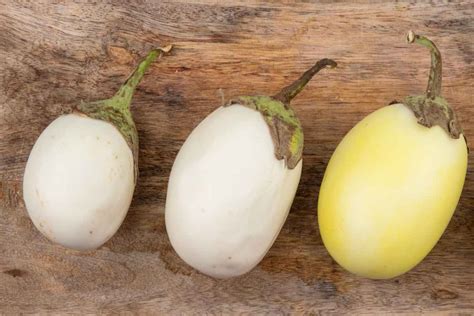 White Eggplant 3 Sweet Tasting Varieties And How To Care For Them