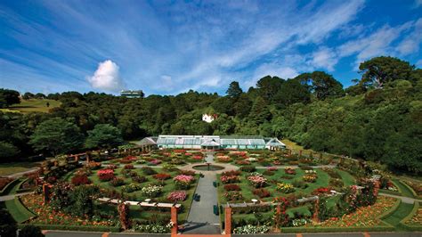 Wellington City And Bays Morning Tour Greatsights New Zealand