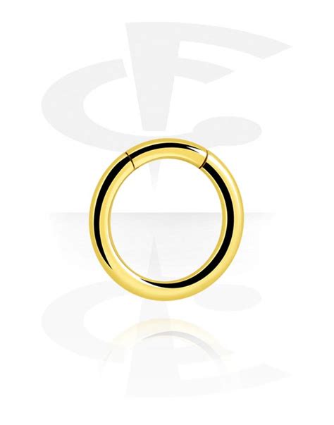 Segment Ring Surgical Steel Gold Shiny Finish Gold Plated Surgical Steel 316l The World