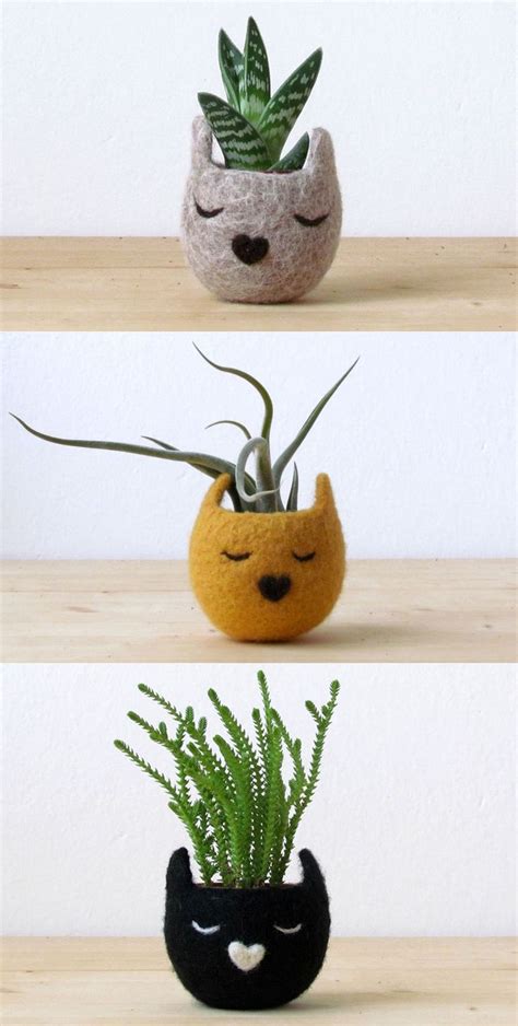 Some cats are not interested in plants at all and can be left alone in a room with toxic plants without any echeveria and haworthia succulents • zamioculca • peperomia (the cats don't like the taste!) • These Felt Cat Head Succulent Planters are Really Adorable ...
