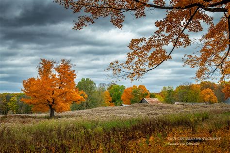 Late Autumn Scene In The Blue Hills Northern Wisconsin Susanne Von