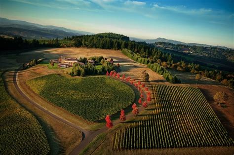 Dundee Hills In Willamette Valley Oregon Wineries Oregon Wine