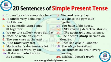 20 Sentences Of Simple Present Tense Simple Present Tense Tenses