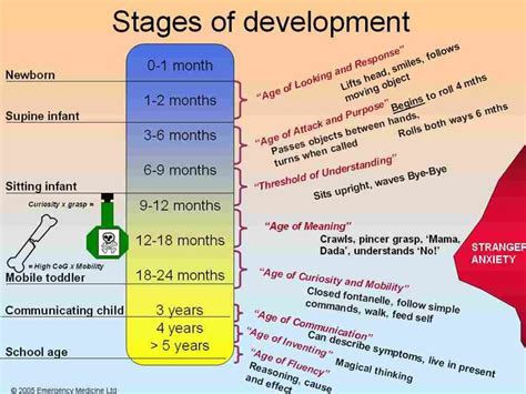 Normal Stages Of Childhood Development Child Development Developing