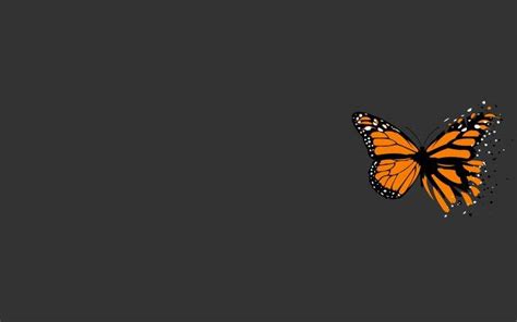 Find over 100+ of the best free simple art images. digital Art, Simple Background, Minimalism, Butterfly ...