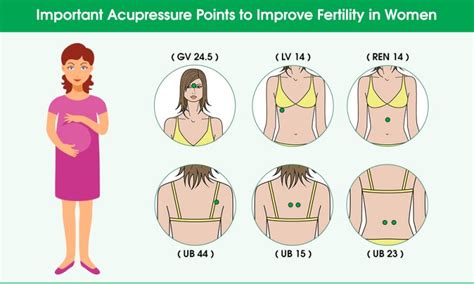 Acupuncture Points For Fertility Chart