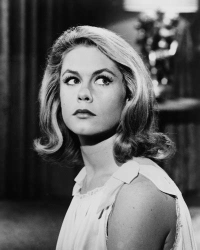 Movie Market Prints And Posters Of Elizabeth Montgomery 105291
