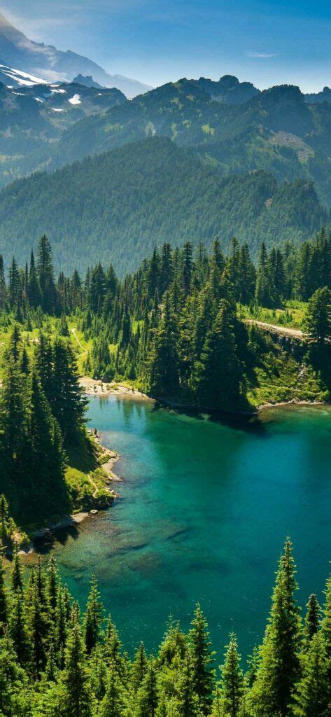 Iphone X Wallpapers Mount Rainier Eunice Lake Washington State Usa