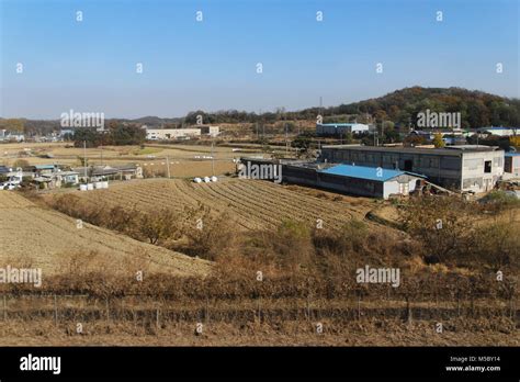 Aerial View Of South Korea Countryside And Crop Field In Autumn Through