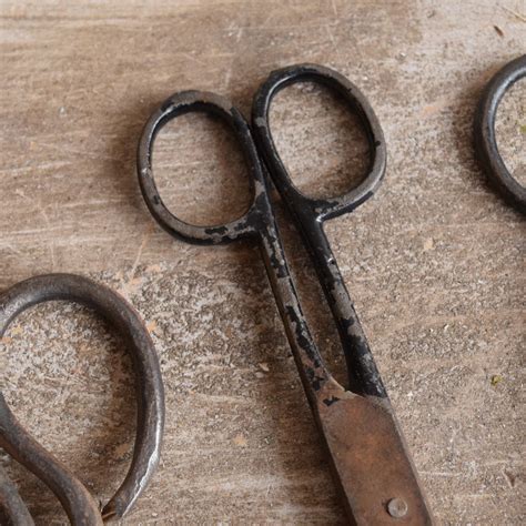 Collection Of Vintage Scissors