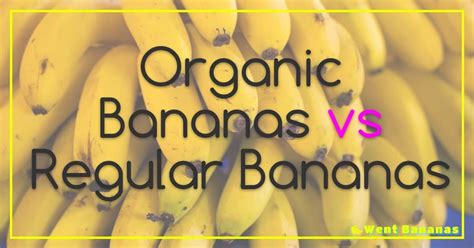 Organic Bananas Vs Regular Bananas
