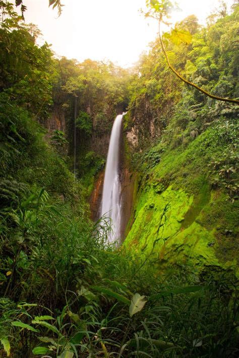 Catarata Del Toro Conquering Costa Ricas Highest Waterfall Every