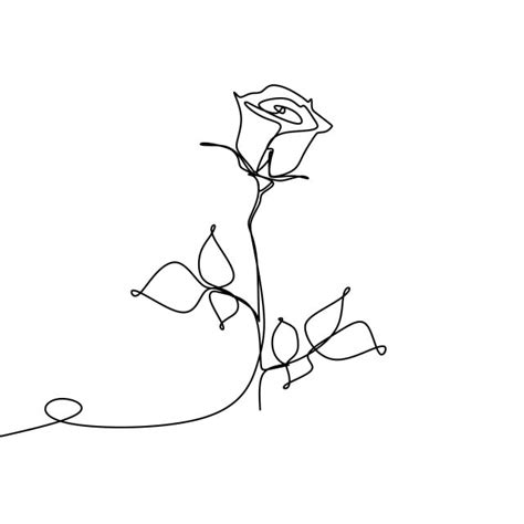 Minimalist flower drawing, abstract flower drawing; Continuous One Line Drawing Vector Illustration Of Rose ...