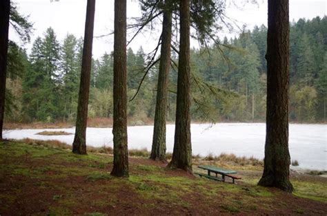 Fileunder Douglas Firs Fallen Leaf Lake Camas Hiking In