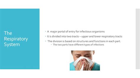 Ppt Infections Of The Respiratory System Powerpoint Presentation
