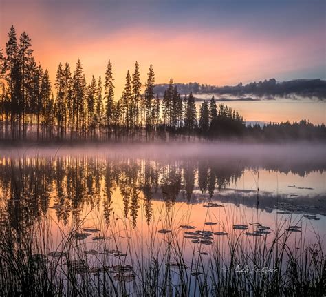 Misty Sunrise Finland By Asko Kuittinen Beautiful Nature Nature