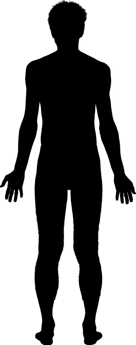Human Body Front And Back Outline Clipart Best