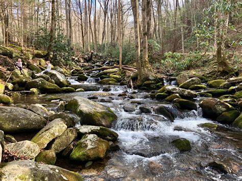 12 Kid Friendly Attractions And Things To Do In The Great Smoky