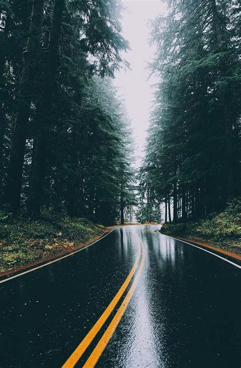 Rainy Forest Highway Rain Pictures Rain Wallpapers Nature Photography