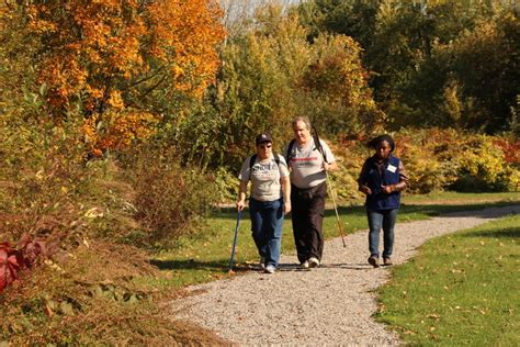 Access Nature Through These Ada Accessible Trails Mass Audubon Your
