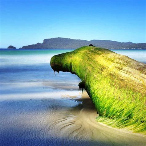 Bruny Island Tasmania Places To Go Things To See