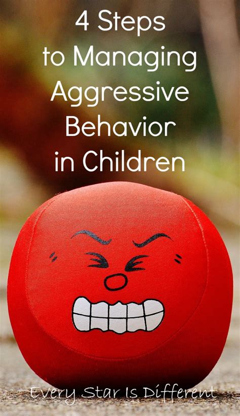4 Steps To Managing Aggressive Behavior In Children Every Star Is
