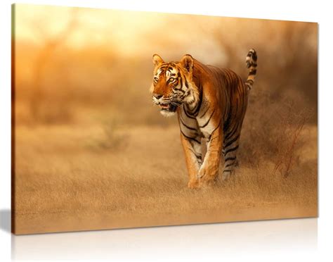 Bengal Tiger Wildlife Canvas Wall Art Picture Print Ebay
