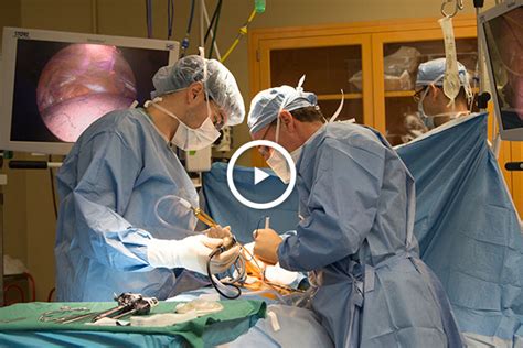 Cardiothoracic Surgery Englewood Hospital And Medical Center