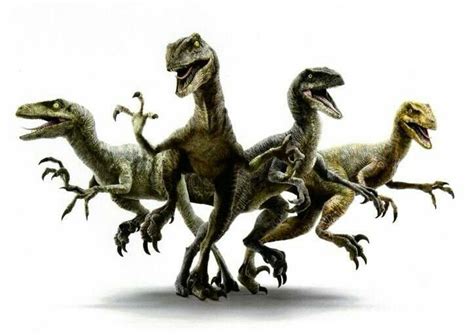 Charlie Blue Delta And Echo From Chris Pratts Raptor Squad Blue Jurassic World Jurassic