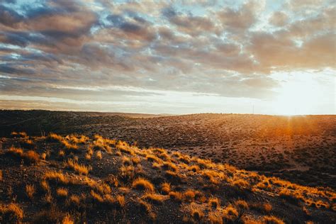 Brown Field Under Cloudy Sky · Free Stock Photo