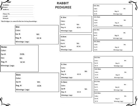 Free Rabbit Pedigree Template