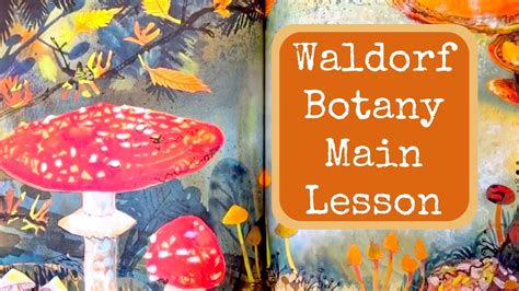 Waldorf Main Lesson Botany Unit Study Plants And Trees Homeschool