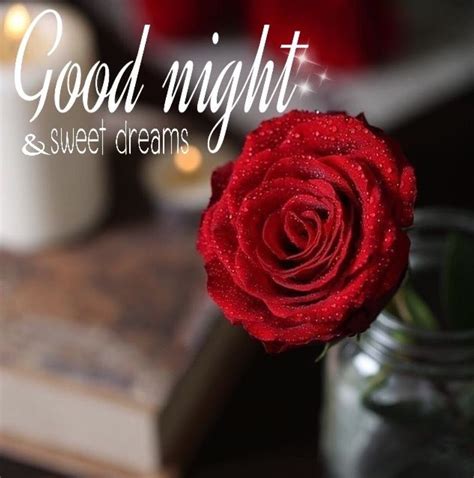 Good Night! | Good night greetings, Night messages, Good night quotes